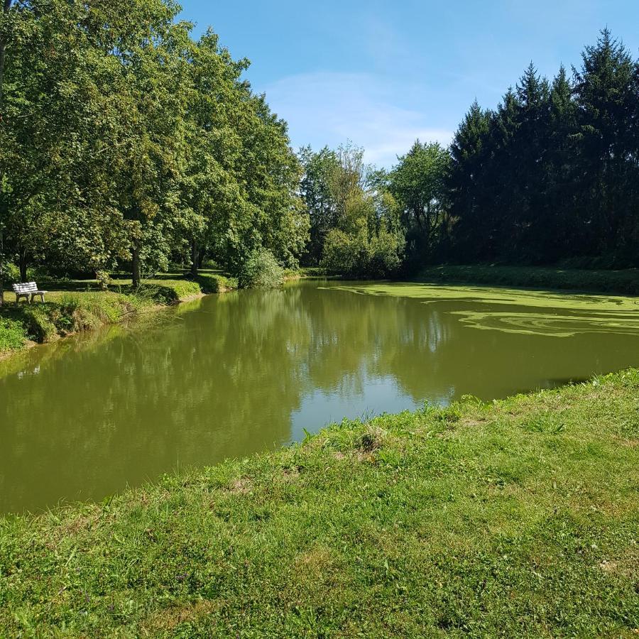 Saint-Denis-lès-RebaisSur La Route De Champ Colin别墅 外观 照片