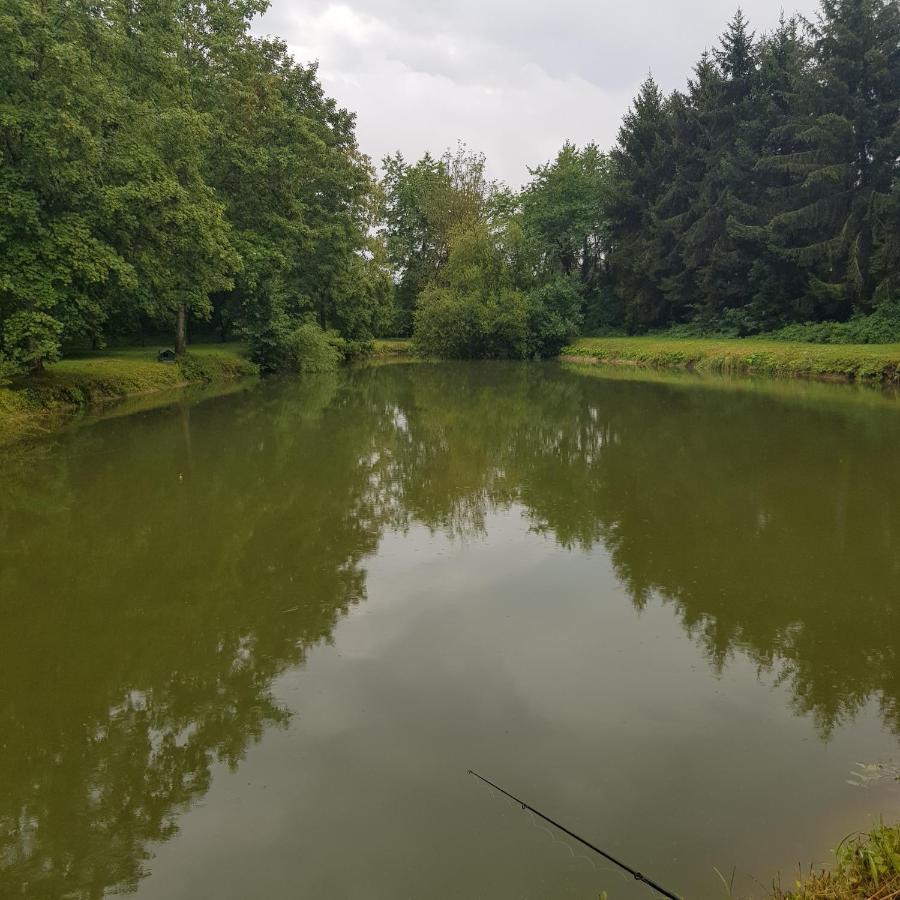 Saint-Denis-lès-RebaisSur La Route De Champ Colin别墅 外观 照片